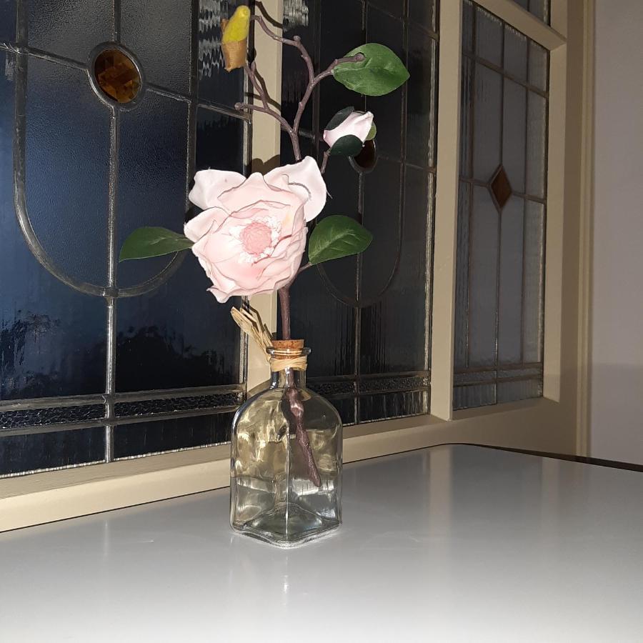 Apartmán u Javorů Varnsdorf Esterno foto