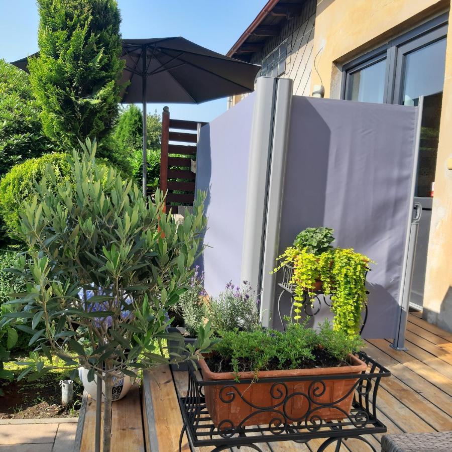 Apartmán u Javorů Varnsdorf Esterno foto