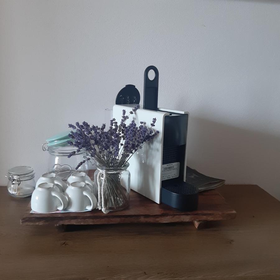 Apartmán u Javorů Varnsdorf Esterno foto