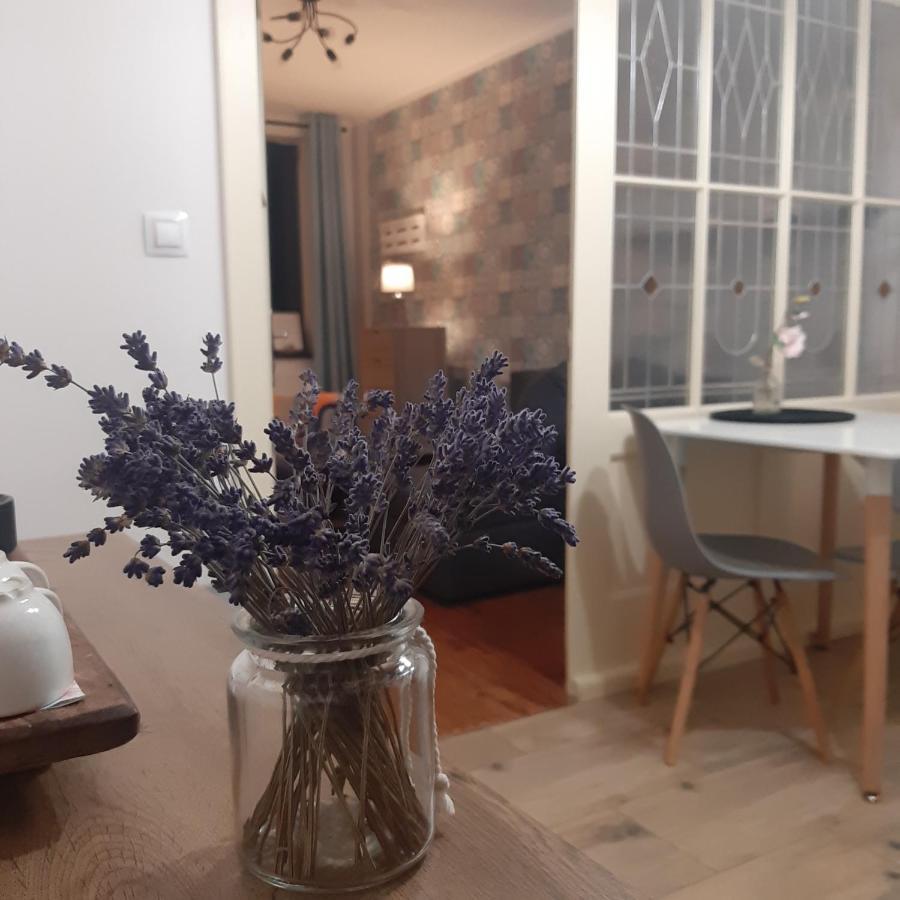 Apartmán u Javorů Varnsdorf Esterno foto